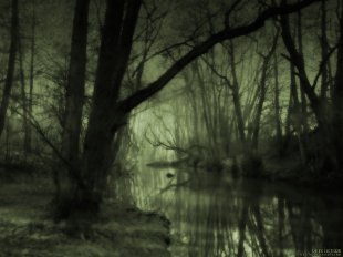 dark smelly swamp